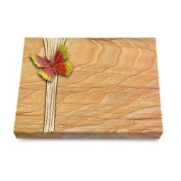 Grabtafel Rainbow Strikt Papillon 2 (Color)