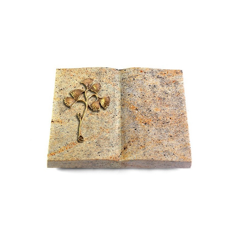 Grabbuch Livre/New Kashmir Gingozweig 1 (Bronze)