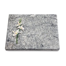 Grabtafel Viskont White Pure Orchidee (Color)