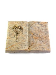 Grabbuch Livre/New Kashmir Lilie (Bronze)