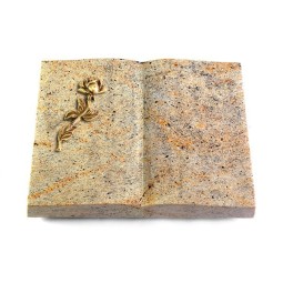 Grabbuch Livre/New Kashmir Rose 7 (Bronze)