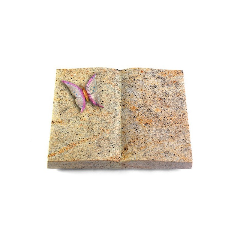 Grabbuch Livre/New Kashmir Papillon 1 (Color)