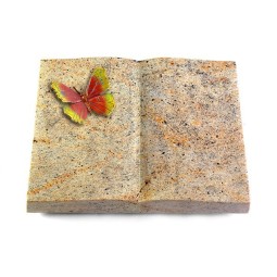 Grabbuch Livre/New Kashmir Papillon 2 (Color)