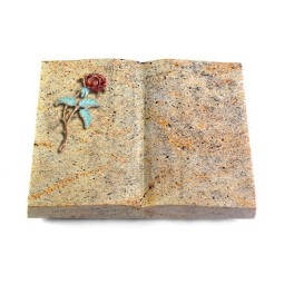 Grabbuch Livre/New Kashmir Rose 2 (Color)