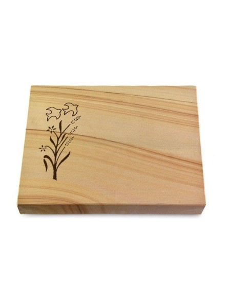 https://www.memorum-grabmale.de/shop/18045-thickbox_default/grabtafel-woodland-pure-zweig-1.jpg