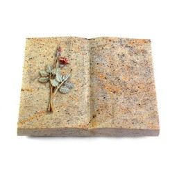 Grabbuch Livre/New Kashmir Rose 5 (Color)