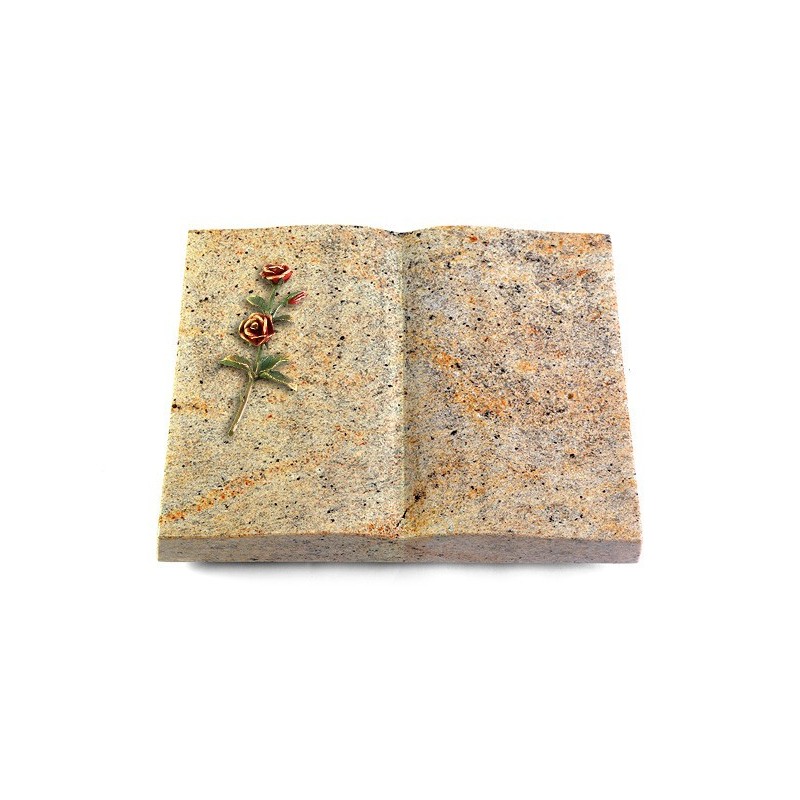 Grabbuch Livre/New Kashmir Rose 6 (Color)