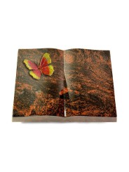 Grabbuch Livre/Aruba Papillon 2 (Color)