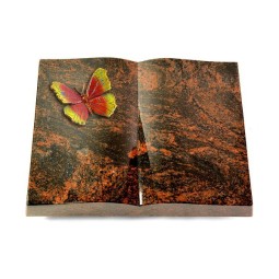 Livre/Aruba Papillon 2 (Color)