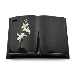 Grabbuch Livre Auris/Indisch-Black Orchidee (Color)