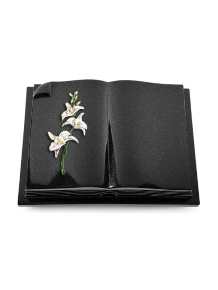 Grabbuch Livre Auris/Indisch-Black Orchidee (Color)