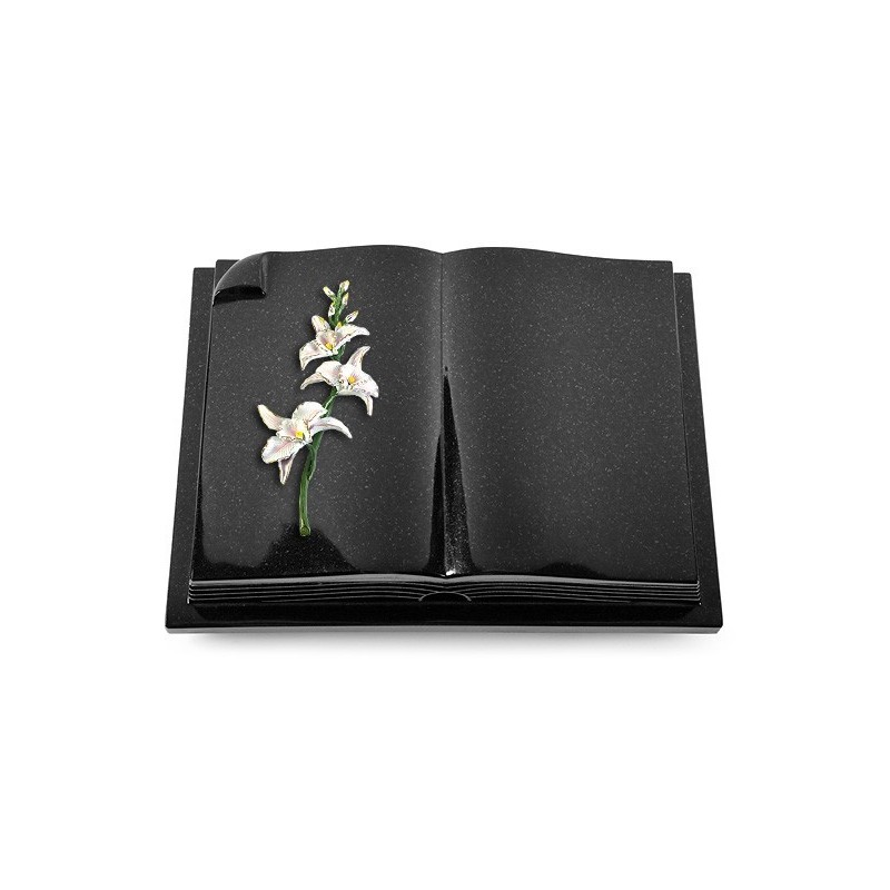 Grabbuch Livre Auris/Indisch-Black Orchidee (Color)