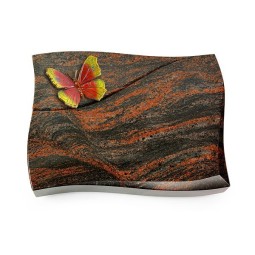 Grabkissen Firenze/Aruba Papillon 2 (Color) 50x40