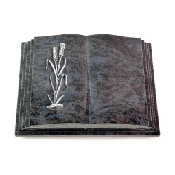 Grabbuch Livre Pagina/Orion Ähren 2 (Alu)