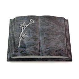 Grabbuch Livre Pagina/Orion Rose 9 (Alu)