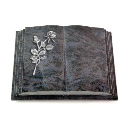 Grabbuch Livre Pagina/Orion Rose 13 (Alu)