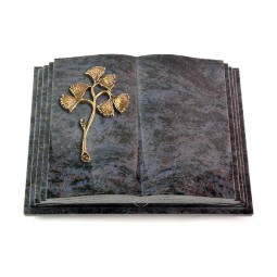 Grabbuch Livre Pagina/Orion Gingozweig 1 (Bronze)