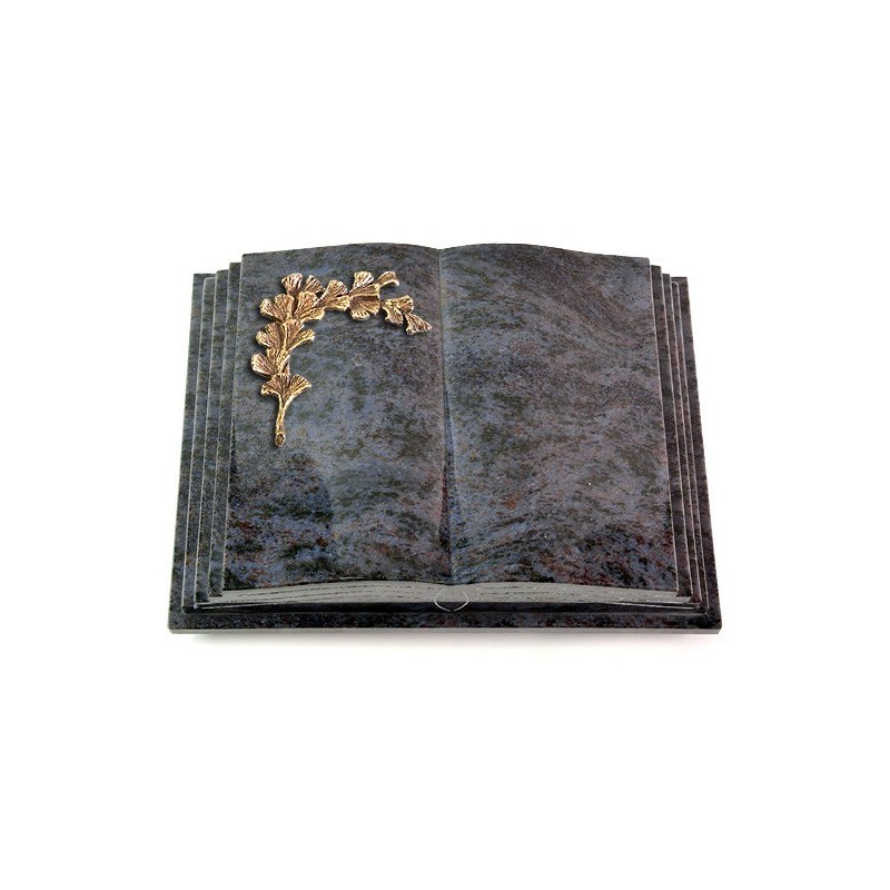 Grabbuch Livre Pagina/Orion Gingozweig 2 (Bronze)