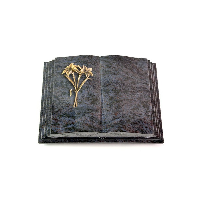 Grabbuch Livre Pagina/Orion Lilie (Bronze)