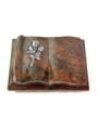 Grabbuch Antique/Aruba Rose 11 (Alu) 50x40