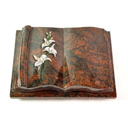 Grabbuch Antique/Aruba Orchidee (Color) 50x40