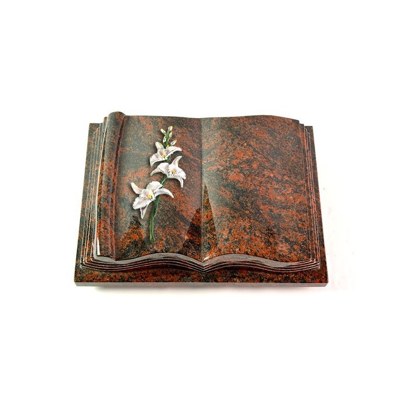 Grabbuch Antique/Aruba Orchidee (Color) 50x40