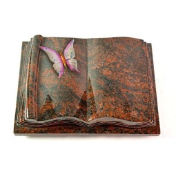 Grabbuch Antique/Aruba Papillon 1 (Color) 50x40