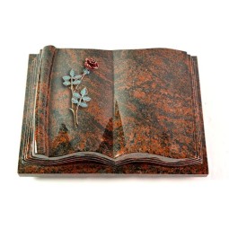 Grabbuch Antique/Aruba Rose 4 (Color) 50x40