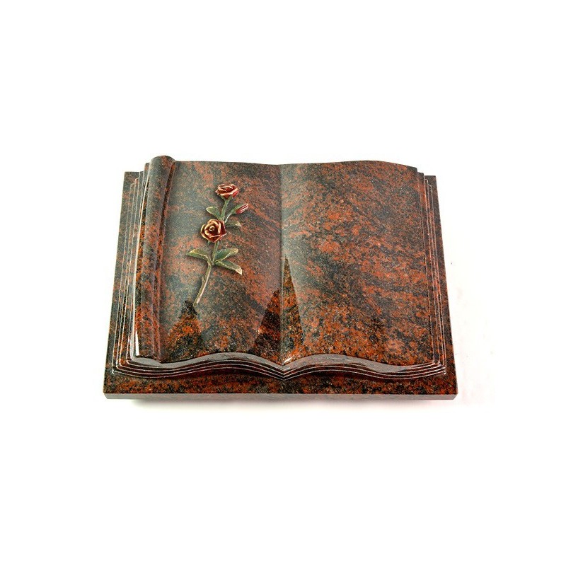 Grabbuch Antique/Aruba Rose 6 (Color) 50x40
