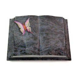 Grabbuch Livre Pagina/Orion Papillon 1 (Color)