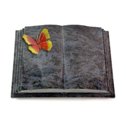 Livre Pagina/Orion Papillon 1 (Color)