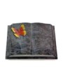 Grabbuch Livre Pagina/Orion Papillon 2 (Color)