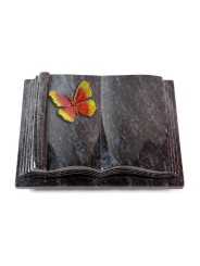Grabbuch Antique/Orion Papillon 2 (Color) 50x40