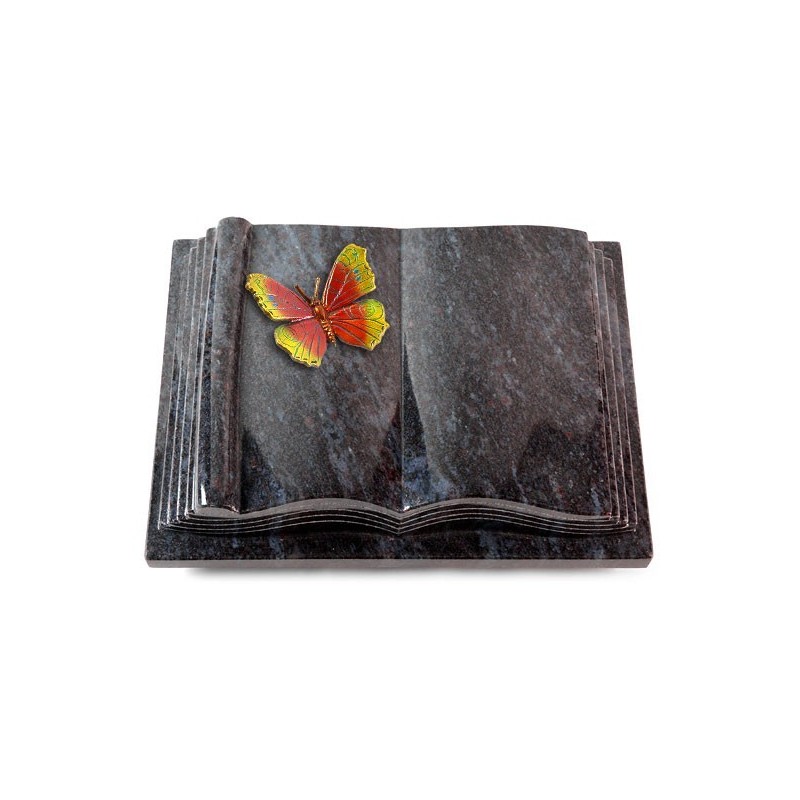 Grabbuch Antique/Orion Papillon 2 (Color) 50x40