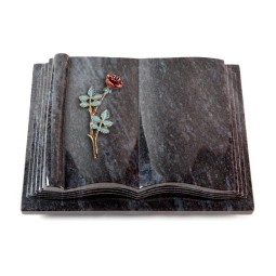 Grabbuch Antique/Orion Rose 4 (Color) 50x40