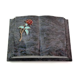 Livre Pagina/Orion Rose 1 (Color)