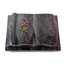 Grabbuch Antique/Orion Rose 6 (Color) 50x40