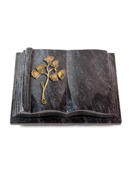 Grabbuch Antique/Orion Gingozweig 1 (Bronze) 50x40