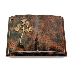 Grabbuch Livre Auris/Aruba Gingozweig 1 (Bronze) 50x40