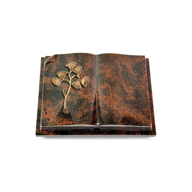 Grabbuch Livre Auris/Aruba Gingozweig 1 (Bronze) 50x40