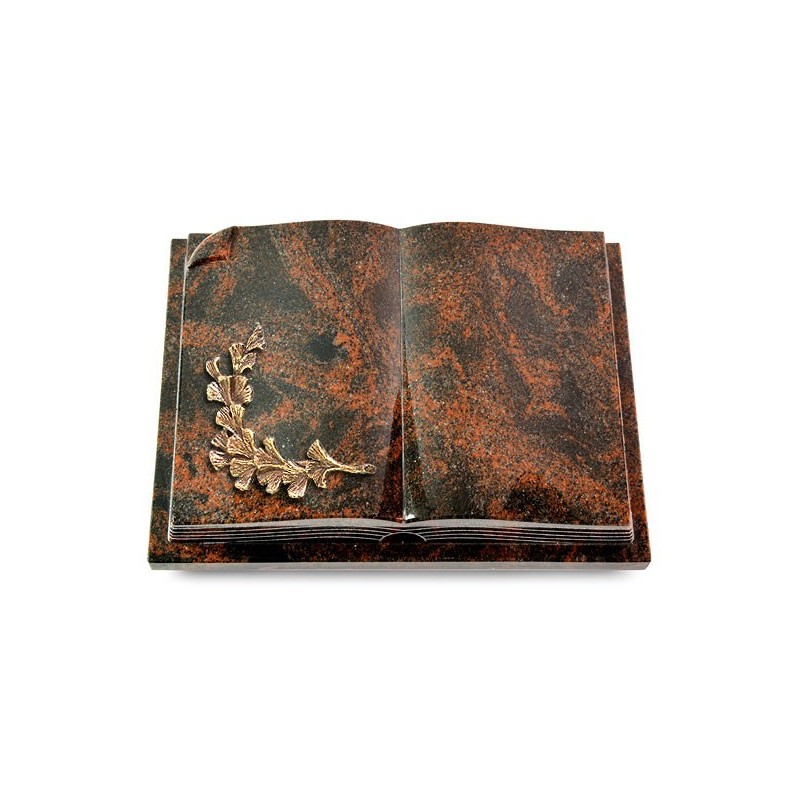 Grabbuch Livre Auris/Aruba Gingozweig 2 (Bronze) 50x40