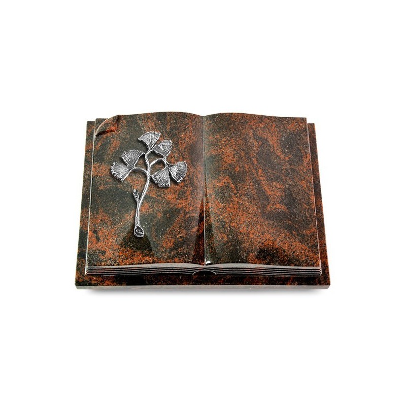Grabbuch Livre Auris/Aruba Gingozweig 1 (Alu) 50x40