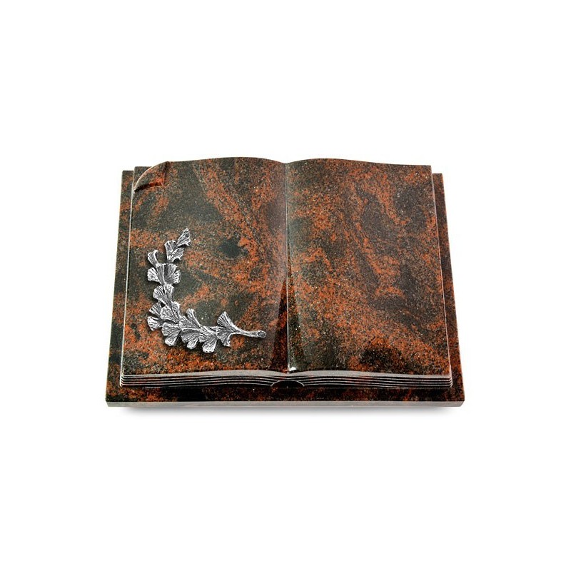 Grabbuch Livre Auris/Aruba Gingozweig 2 (Alu) 50x40