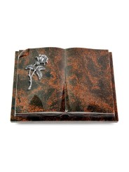 Grabbuch Livre Auris/Aruba Rose 2 (Alu) 50x40