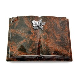 Grabbuch Livre Auris/Aruba Rose 3 (Alu) 50x40