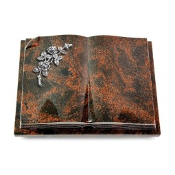 Grabbuch Livre Auris/Aruba Rose 5 (Alu) 50x40