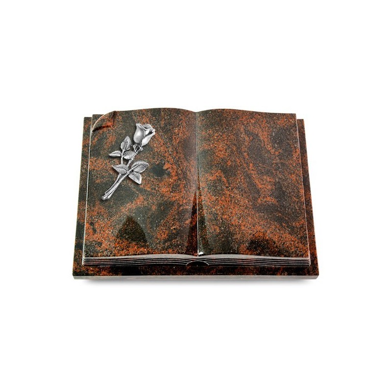 Grabbuch Livre Auris/Aruba Rose 8 (Alu) 50x40