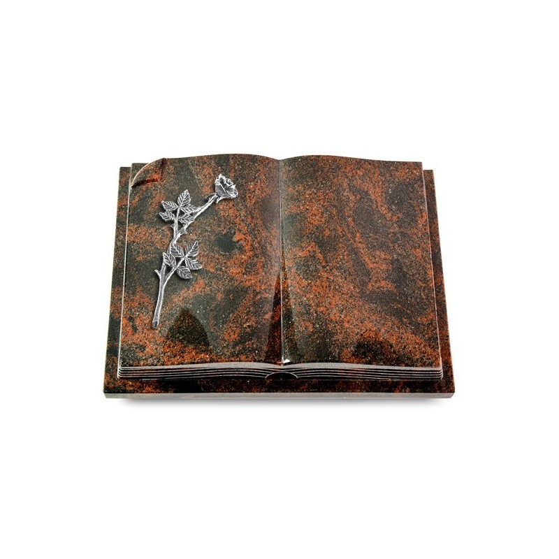 Grabbuch Livre Auris/Aruba Rose 9 (Alu) 50x40