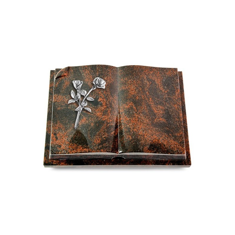 Grabbuch Livre Auris/Aruba Rose 10 (Alu) 50x40
