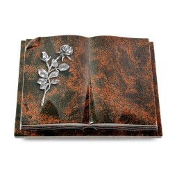 Grabbuch Livre Auris/Aruba Rose 13 (Alu) 50x40